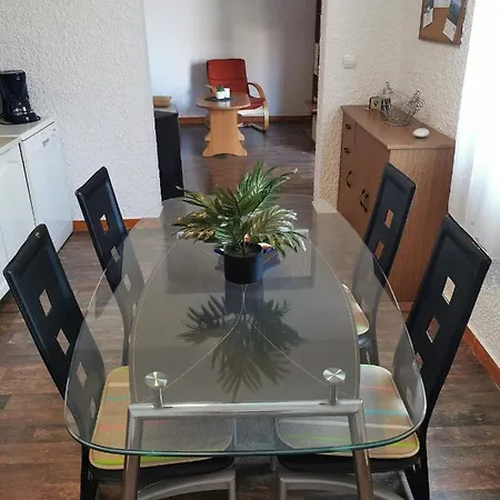 Timon *